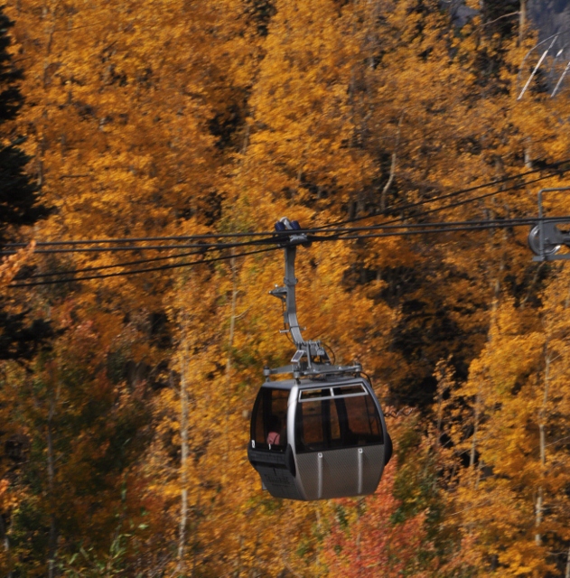closeup of gondola going up to Mountain Village